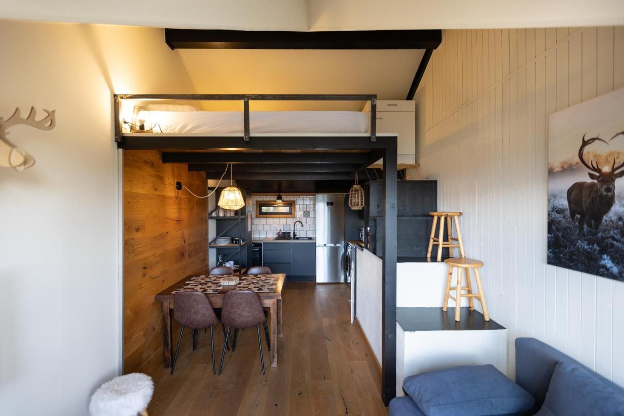 Le Cerf - Duplex Avec Superbe Vue Montagne Apartment Les Angles  Exterior photo
